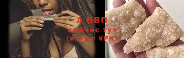 сатива Баксан
