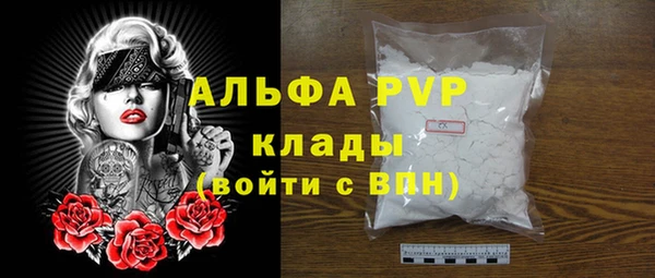 сатива Баксан