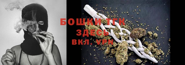 сатива Баксан