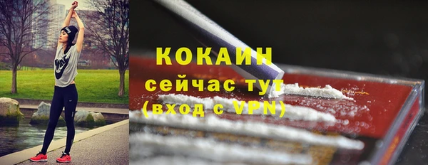 сатива Баксан