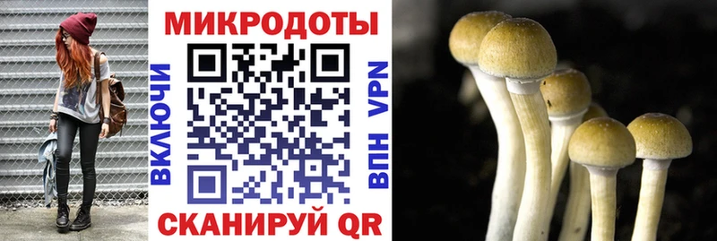 закладка  MEGA как войти  Галлюциногенные грибы ЛСД  Вельск 