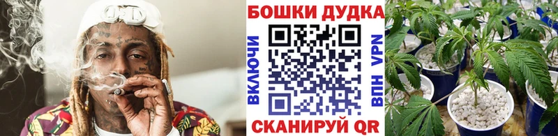Канабис OG Kush  Вельск 